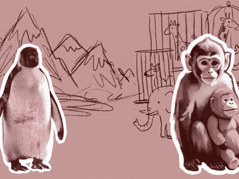 Penguin walking alone and baby Monkey holding toy representing business upgrade and personal reinvention